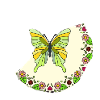 Butterfly flowers