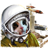 spacecat