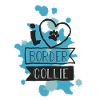J'AIME BORDER COLLIE - BLEU