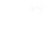 Evolution Schachl en blanc