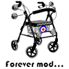 forever mod