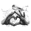 heart graphic