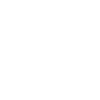 Sisu