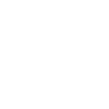 dinosaur