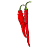 Chilipeppar Hot Chili Pepper Paprika Kryddig mat