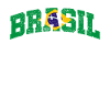 Drapeau du brésil