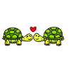 Tortoises