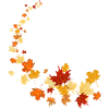 Blaetter transparent
