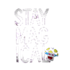 Magic Mushroom Fun
