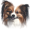 Papillon