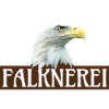 Falconry, eagle, transparent
