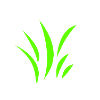 grass