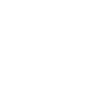 Cat - Kitten