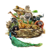 Die wunderschöne Tierwelt