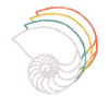 FOSSIL