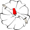 Sufi Dervish Dancer