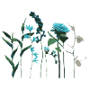 Turquoise Green Flowers & Herbs