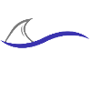 Haifischflosse Hai Performance Lustig