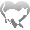 Cat kitten in a heart