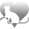 Cat Cat Cat Cat Cat Pussy