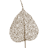 leaf tree forest skeleton pattern nerve love heart