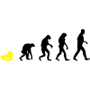 ducky evolution
