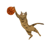 Basketball Cat Catsmaid Streetball Gift