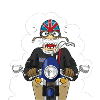 Bonnie SE Racer / Thrux