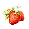Fleur de fraise