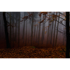 automne