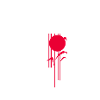Tokyo, Tokyo, Japan