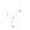 Easter plant