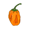 Chili Pepper Chili Pepper Habanero eet scherp