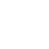 Eagle Icon