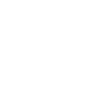 Eagle in Flight - Design