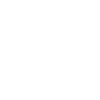 Skull / minimal skull