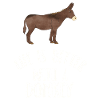Animali divertenti immagini Asino animale amore asino