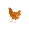Hühner Flüsterer Huhn Henne Hahn