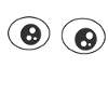 Eyes of the eyesight object