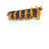GOLFING EVOLUTION Golfer Golf Motiv