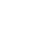 Skate pirate