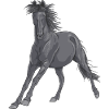 horse
