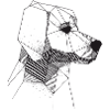 Golden Retriever Geometrisch Zwart