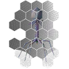 Phage