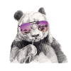 Cool Panda with Sunglasses