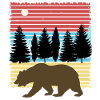 Bär - Abenteuer - Wald