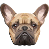 Bouledogue français, polygone, chien, Frenchy