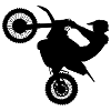 Wheelie Summer