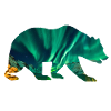 Polar Bear Northern Lights