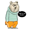 Dude Bear